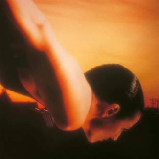 PORCUPINE TREE On The Sunday Of Life 2LP