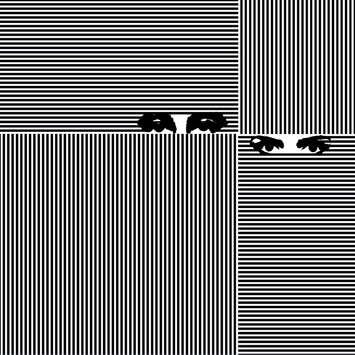 SOKÓŁ | MARYSIA STAROSTA Czarna Biała Magia CD