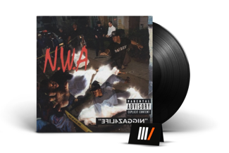 N.W.A. Efil4zaggin LTD LP